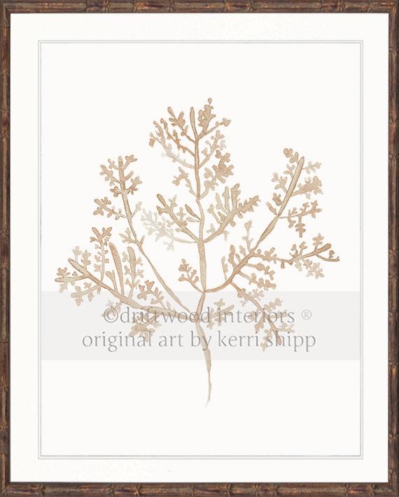 Sea Fern III in Natural