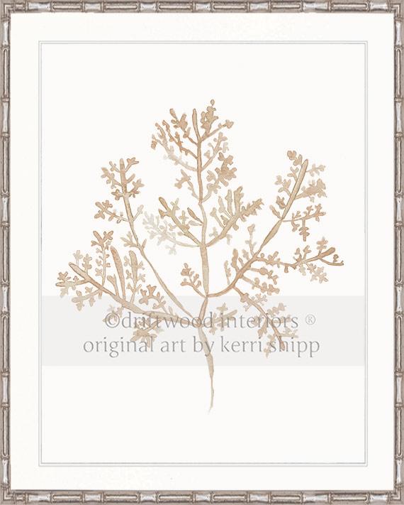 Sea Fern III in Natural