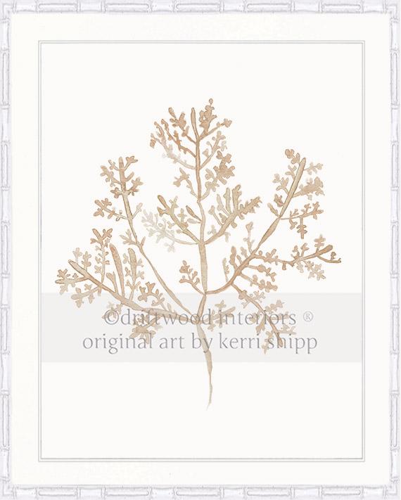 Sea Fern III in Natural