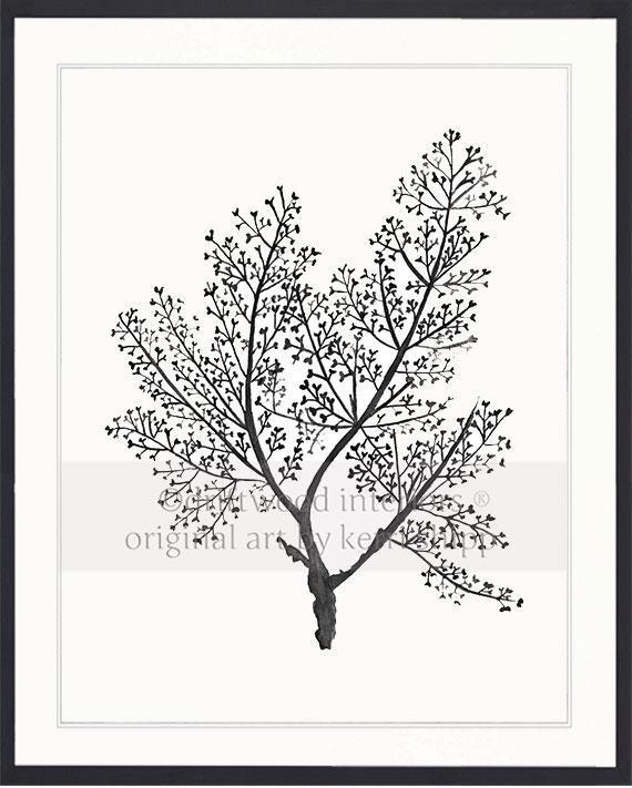 Sea Fern in Charcoal - Driftwood Interiors