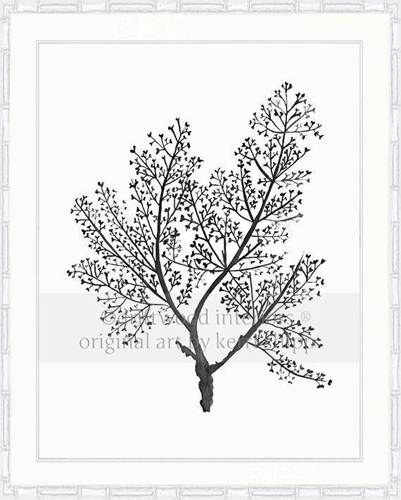 Sea Fern in Charcoal - Driftwood Interiors