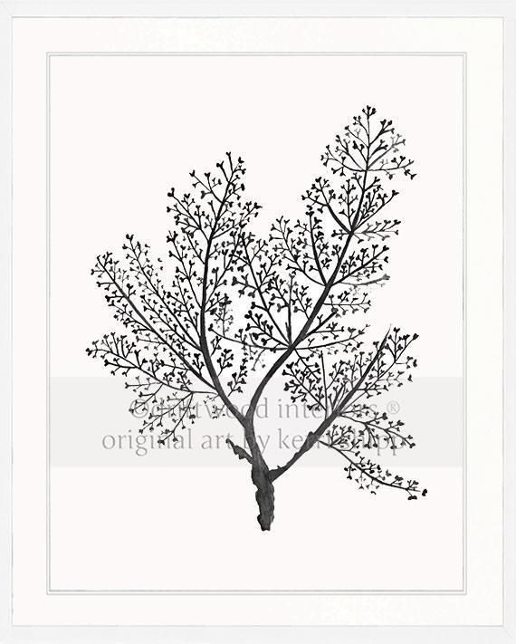 Sea Fern in Charcoal - Driftwood Interiors