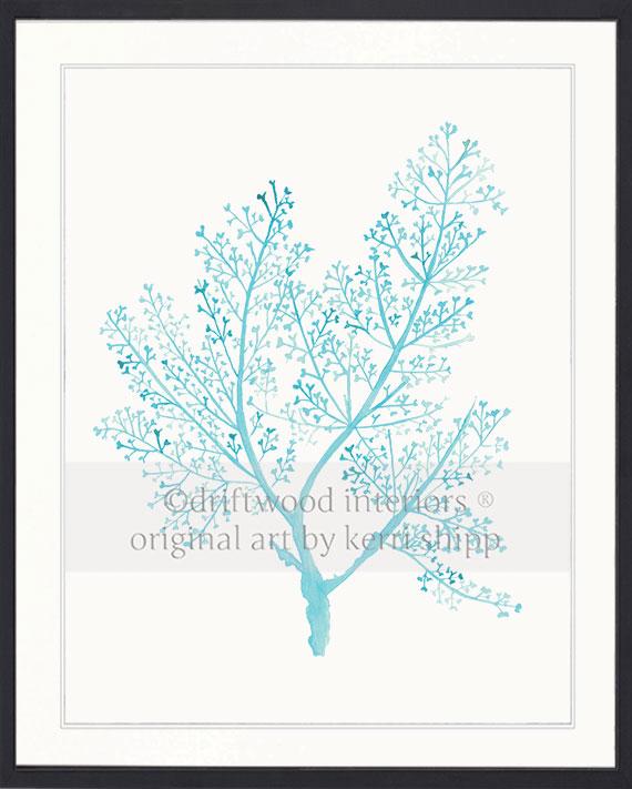 Sea Fern in Turquoise