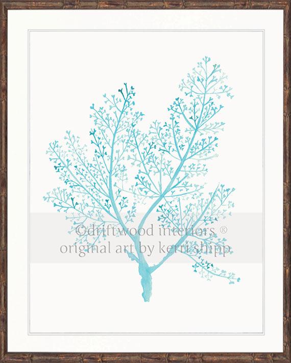 Sea Fern in Turquoise