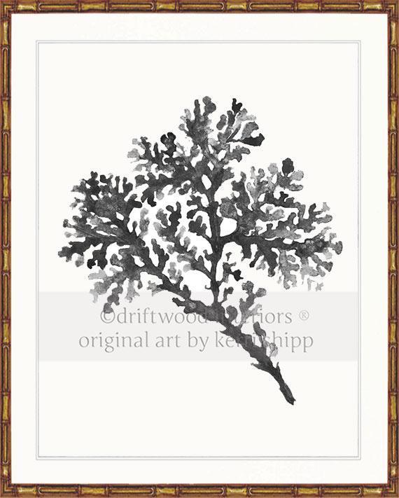 Seagrass in Charcoal - Driftwood Interiors