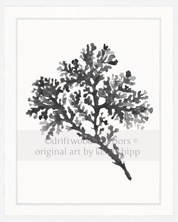 Seagrass in Charcoal - Driftwood Interiors