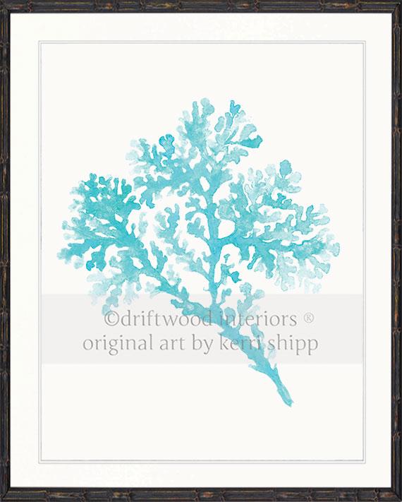 Seagrass in Turquoise