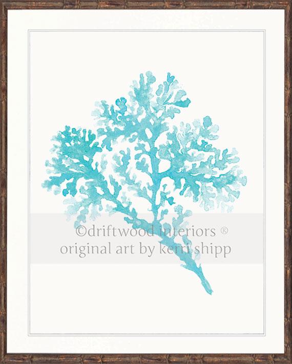 Seagrass in Turquoise