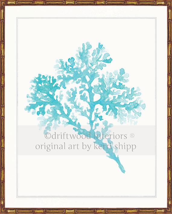 Seagrass in Turquoise