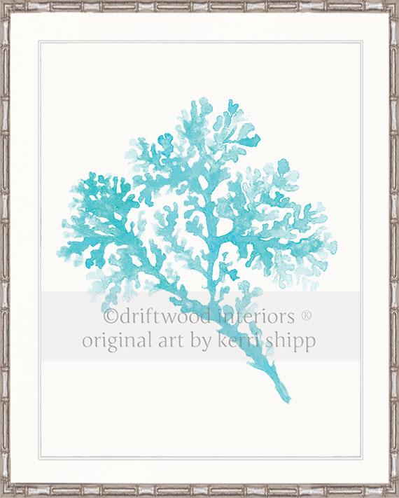 Seagrass in Turquoise