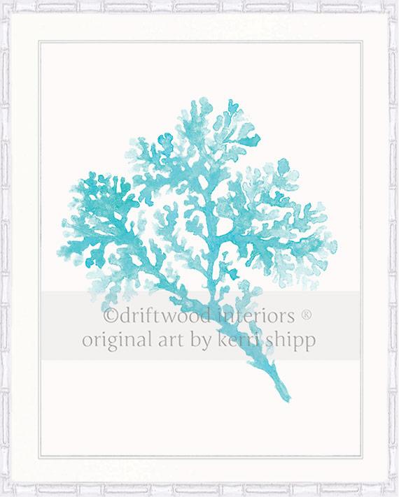 Seagrass in Turquoise