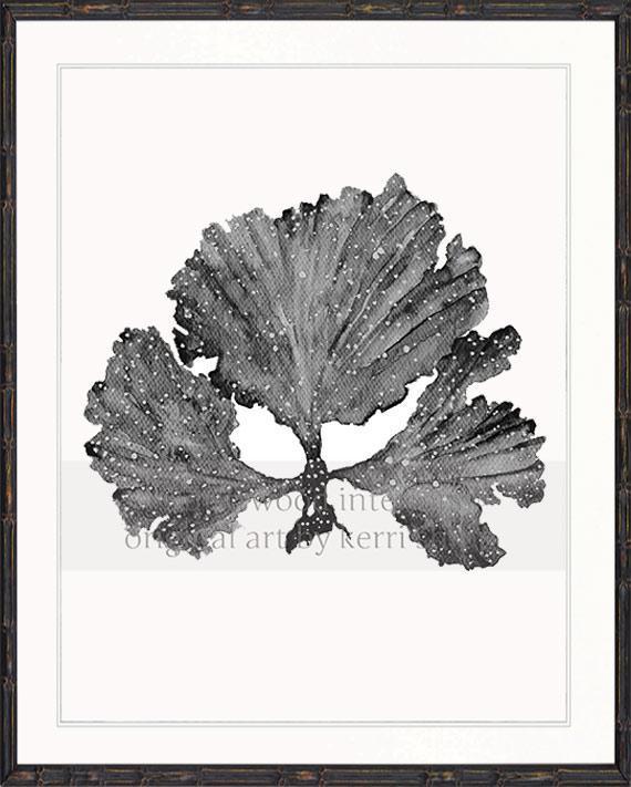 Seaweed II in Charcoal - Driftwood Interiors