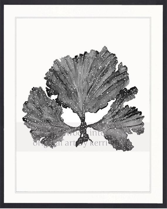 Seaweed II in Charcoal - Driftwood Interiors