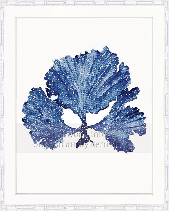 Seaweed II in Denim - Driftwood Interiors