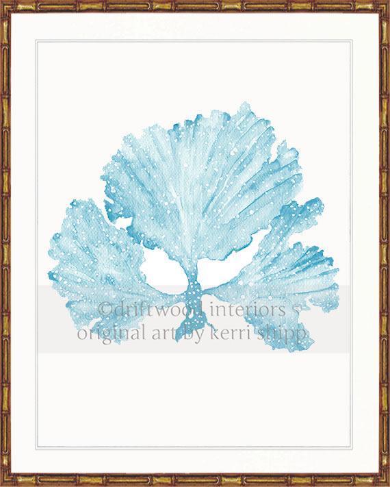 Seaweed II in French Blue - Driftwood Interiors