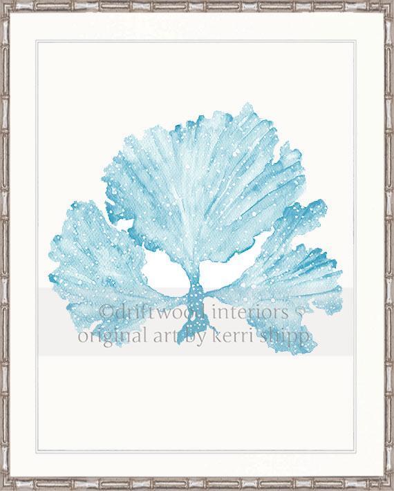 Seaweed II in French Blue - Driftwood Interiors
