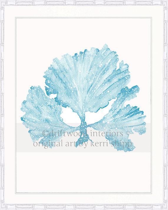 Seaweed II in French Blue - Driftwood Interiors