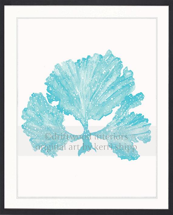 Seaweed II in Turquoise