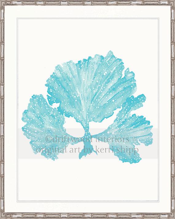 Seaweed II in Turquoise