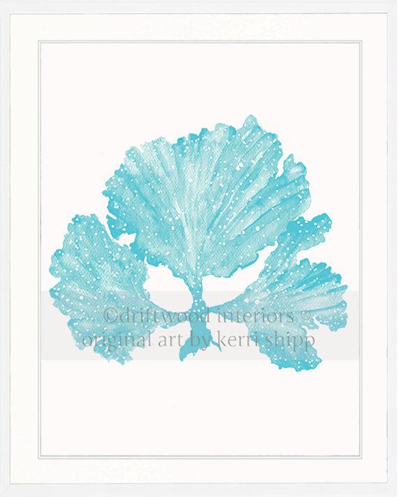 Seaweed II in Turquoise