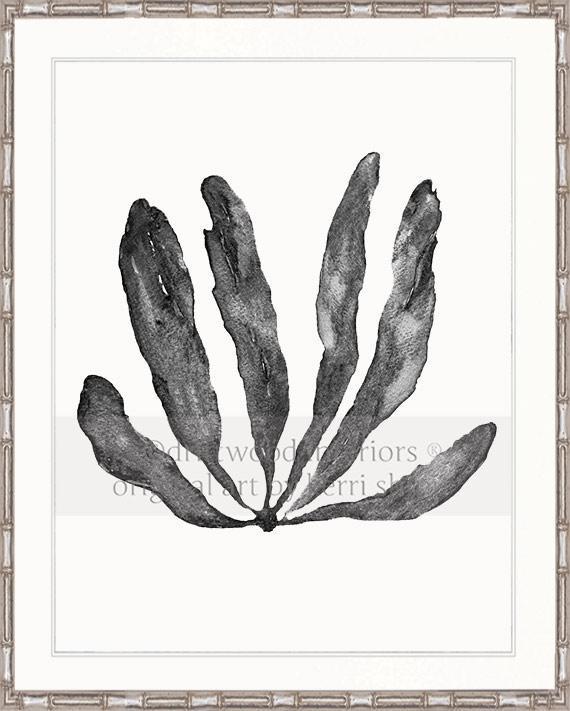 Wall Art Australia - Seaweed III Art Print in Charcoal in silver bamboo frame - Driftwood Interiors