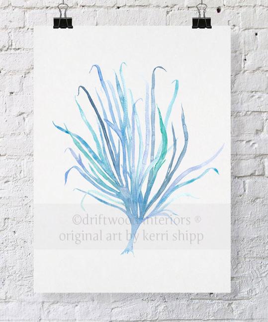Seaweed VII in Aqua - Driftwood Interiors