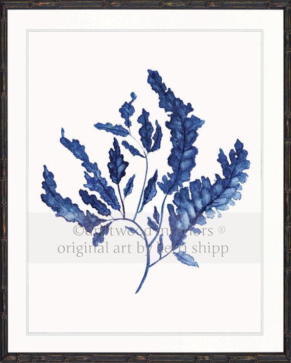 Seaweed in Denim - Driftwood Interiors