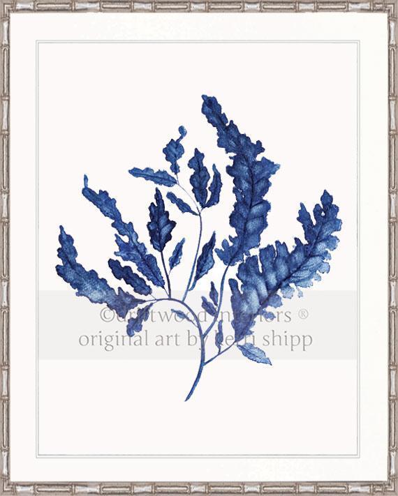 Seaweed in Denim - Driftwood Interiors