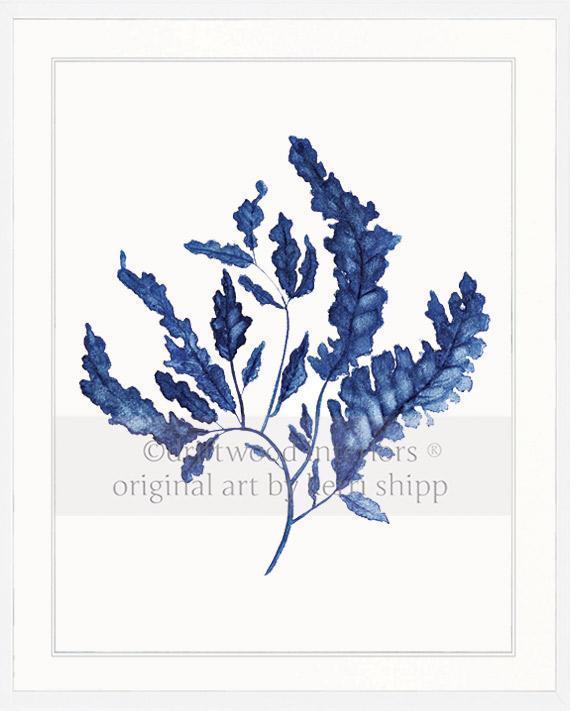 Seaweed in Denim - Driftwood Interiors