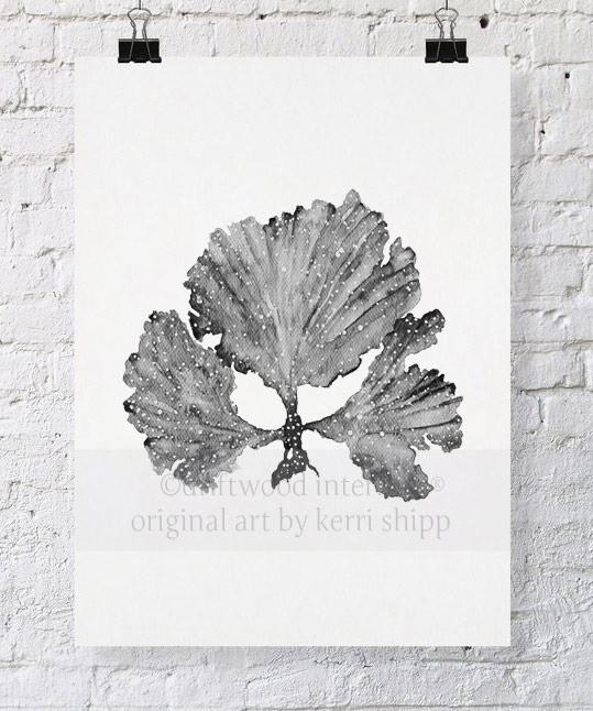 Seaweed II in Charcoal - Driftwood Interiors