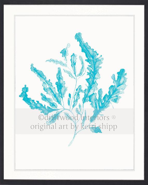 Seaweed in Turquoise