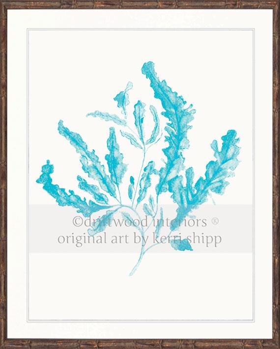 Seaweed in Turquoise