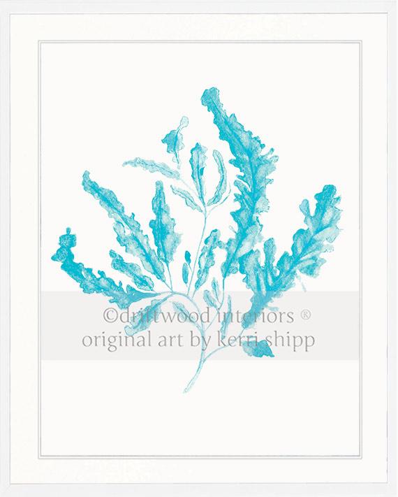Seaweed in Turquoise