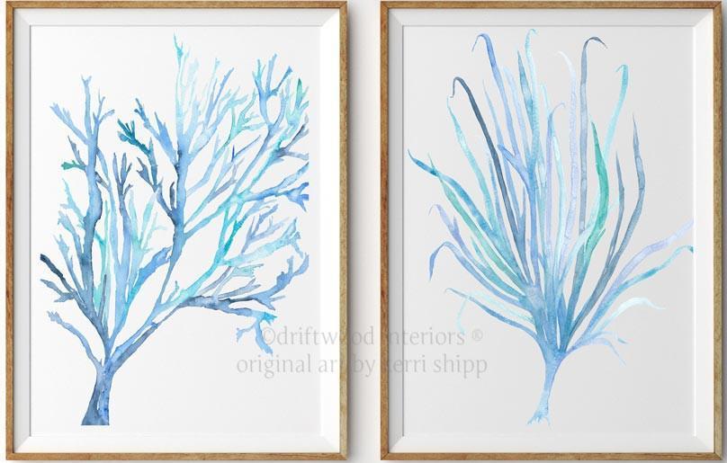 Seaweed VII in Aqua - Driftwood Interiors