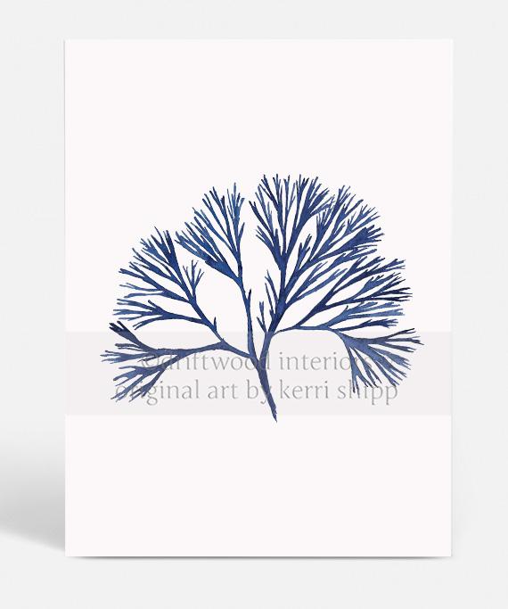 Coral Wall Art Print - Tree Coral I in Denim