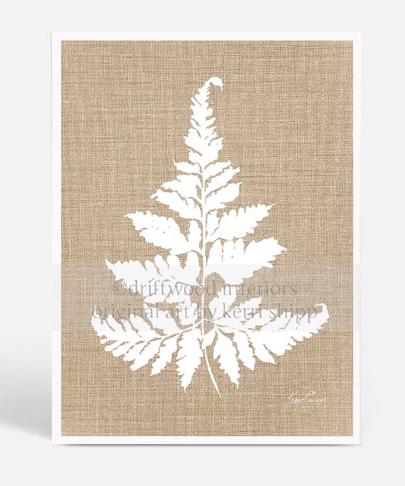 White Fern Wall Art Print on Dark Linen Background - White Fern IV - Kerri Shipp Driftwood Interiors