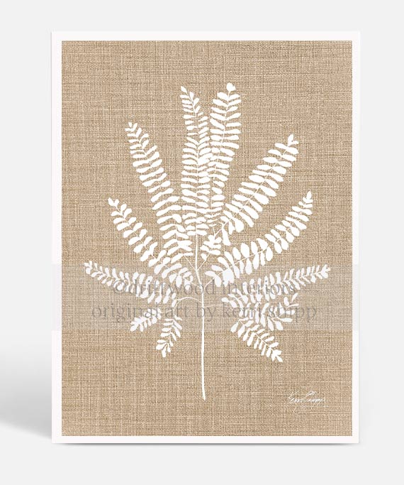 White Fern Wall Art Print on Dark Linen Background - White Fern VI - Kerri Shipp Driftwood Interiors