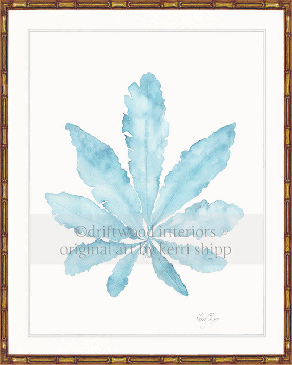 Oceana Corals in French Blue