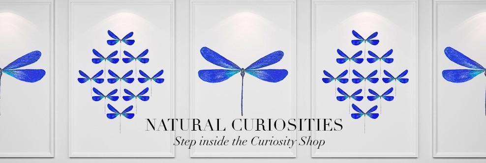 Natural Curiosities