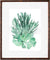 Corals &amp; Seaweed Prints