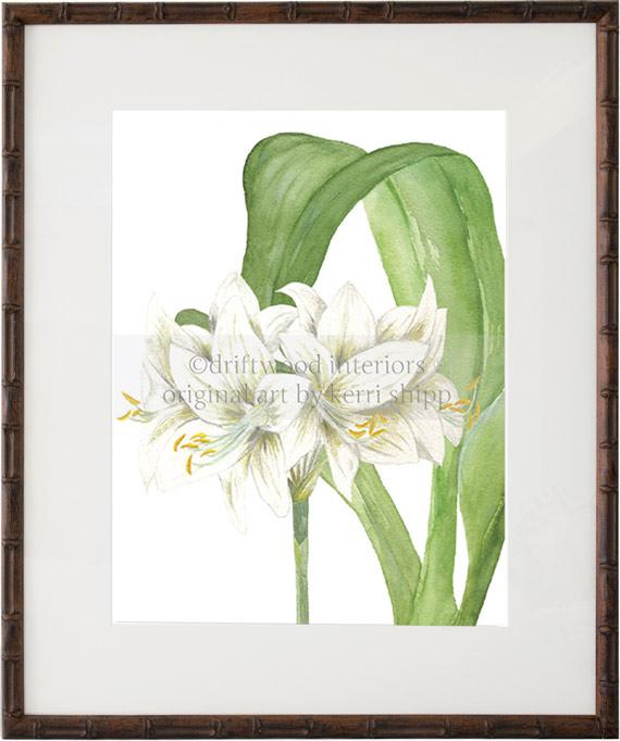 Montgomery Garden Prints