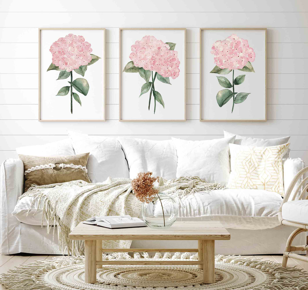 Blush Pink Hydrangea Set of 3 Prints