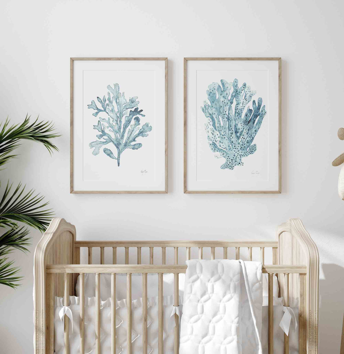 Aqua Sky Blue Coral Seaweed Set of 2 Wall Art Prints in Nursery - Driftwood Interiors