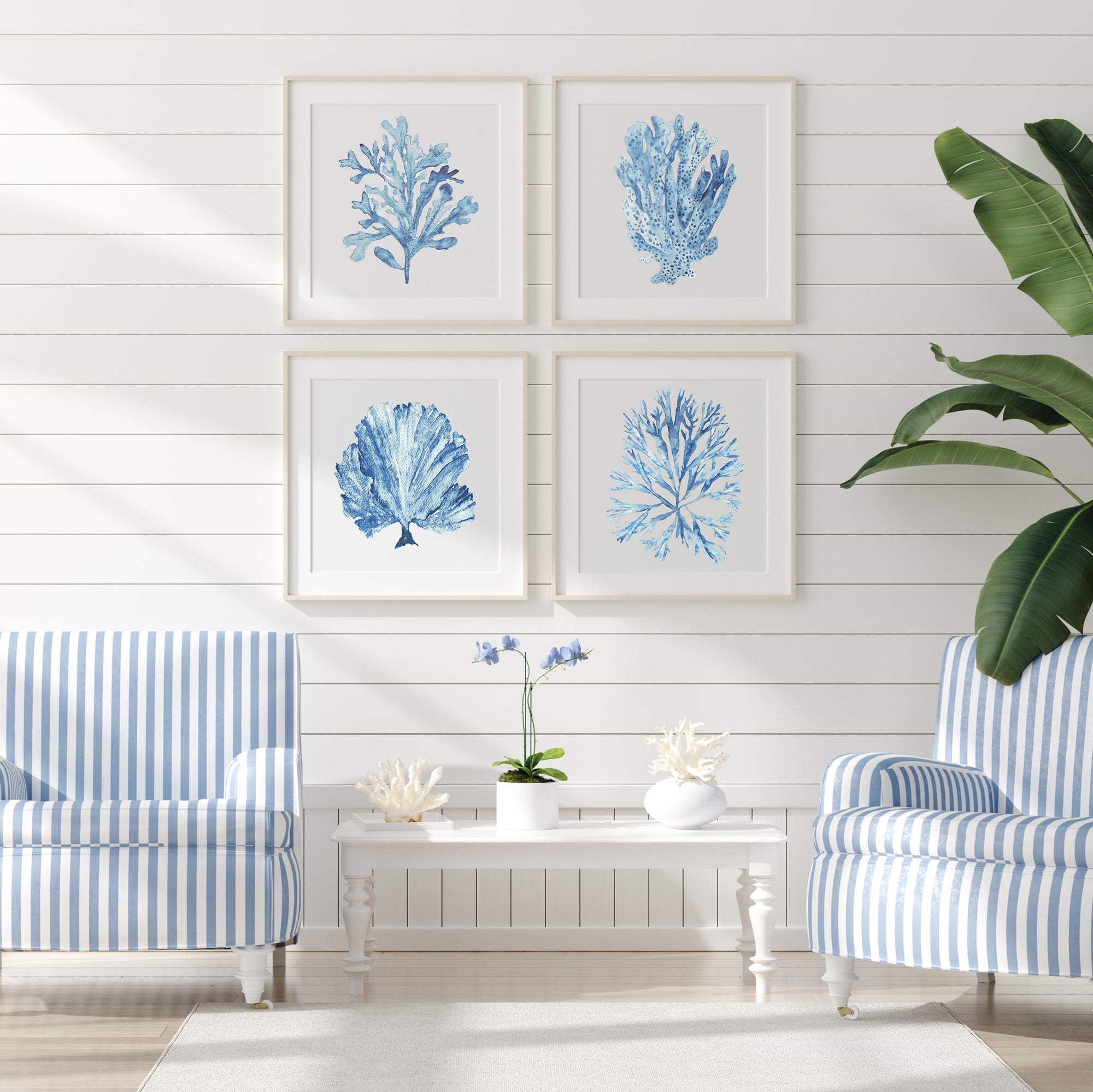 Sky Blue Coral Seaweed Set of 4 Wall Art Prints in Hamptons Style Home | Driftwood Interiors