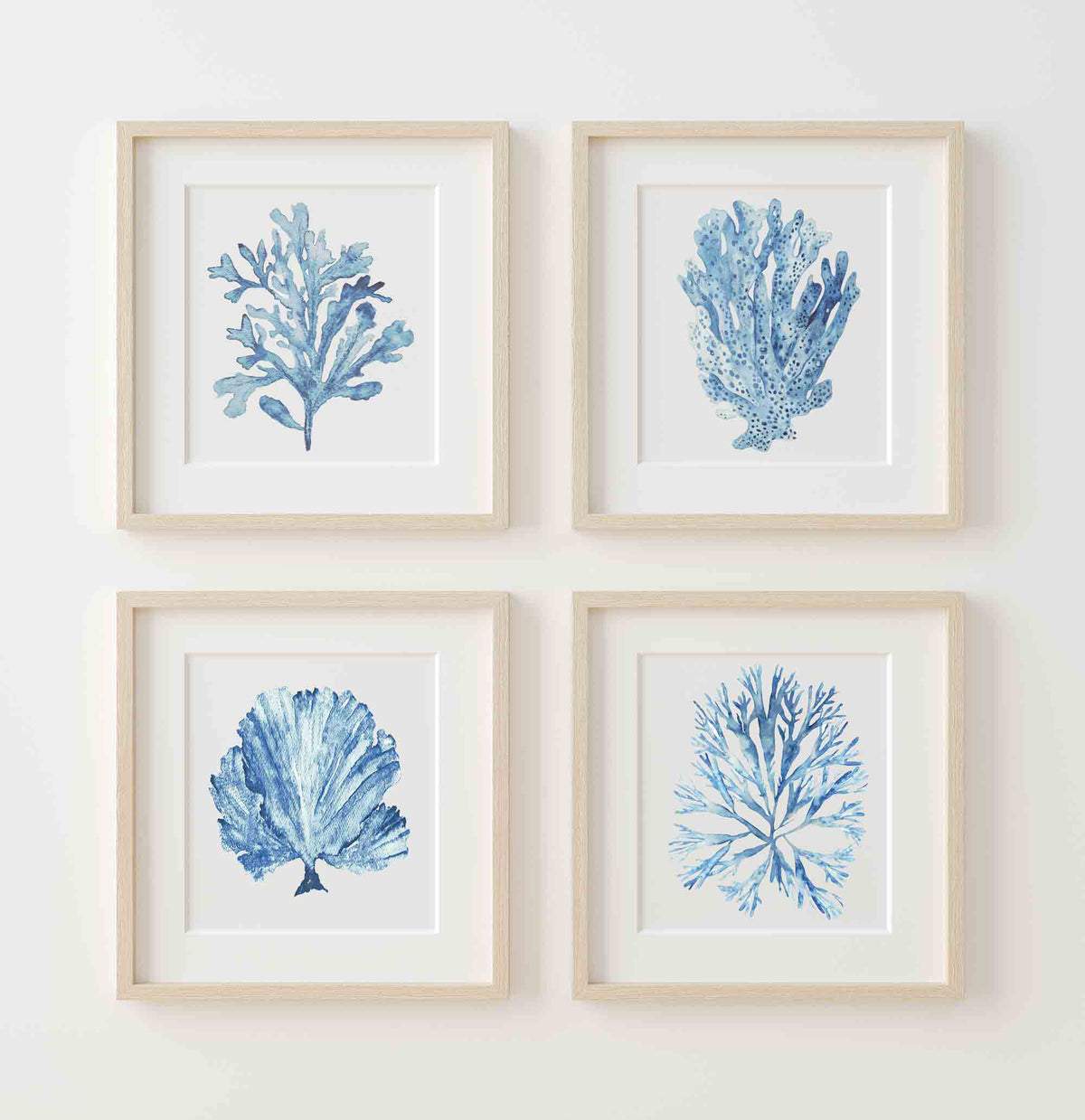 Sky Blue Coral Seaweed Set of 4 Wall Art Prints Square | Kerri Shipp Driftwood Interiors