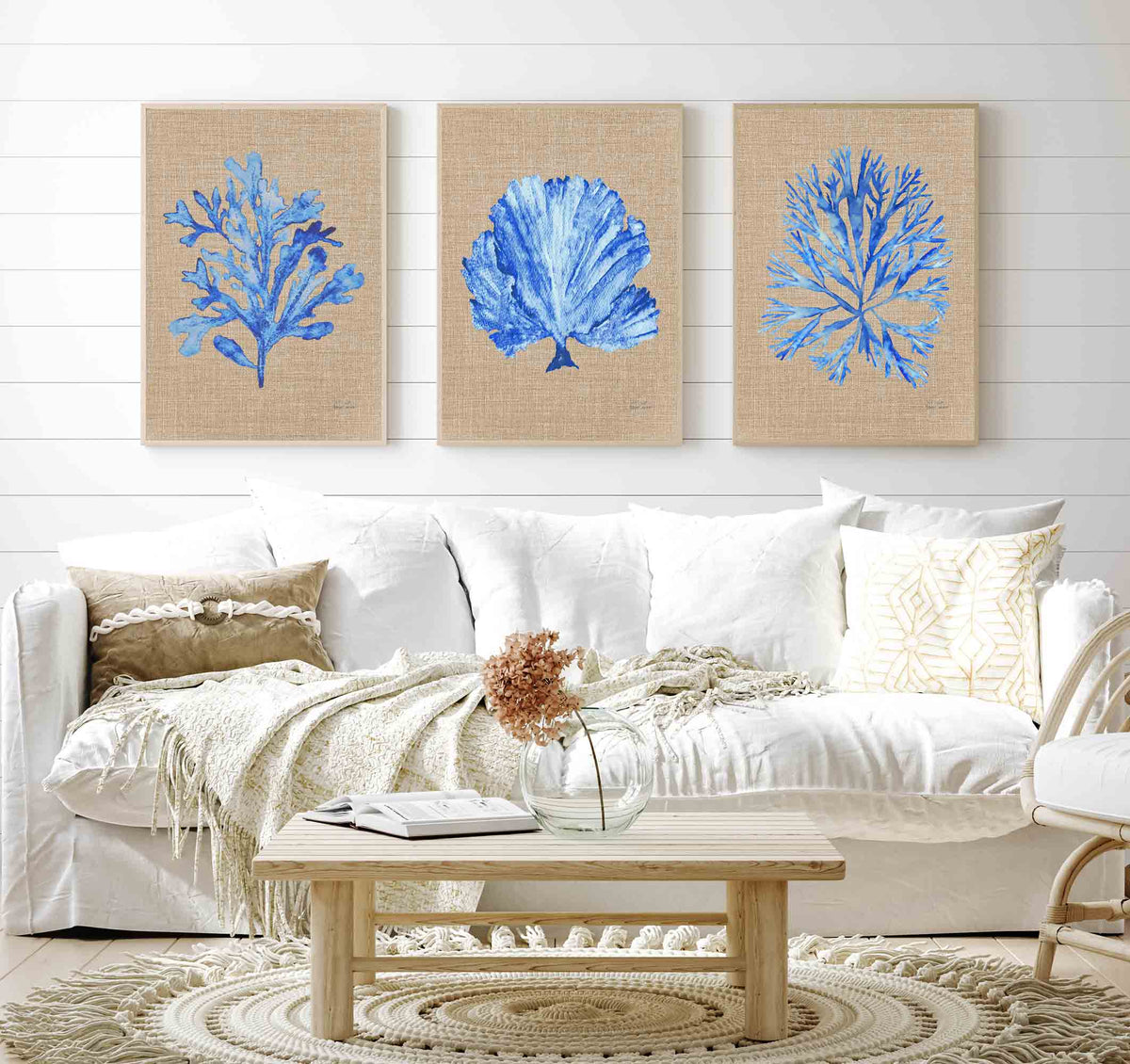 Coral Seaweed Set of 3 Prints in Cobalt Blue