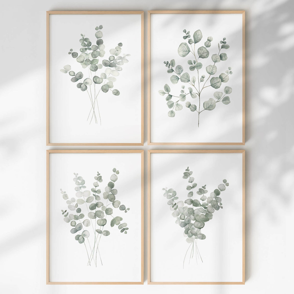 Eucalyptus Branch Set of 4