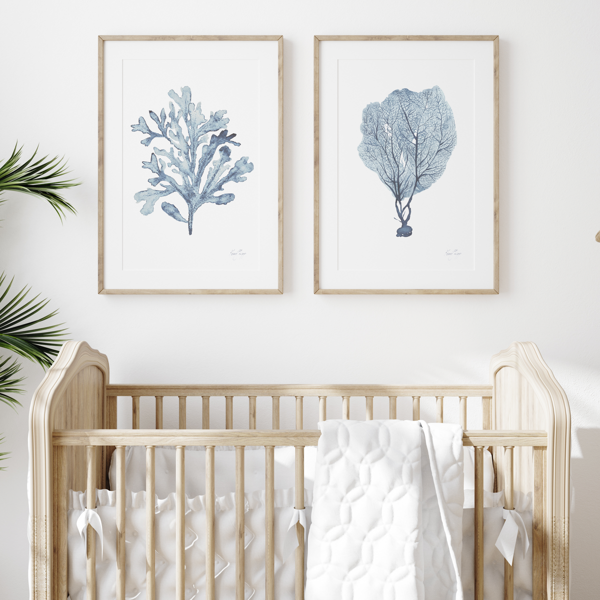 Coastal Wall Art | Muted Blue Coral Seaweed Print Set