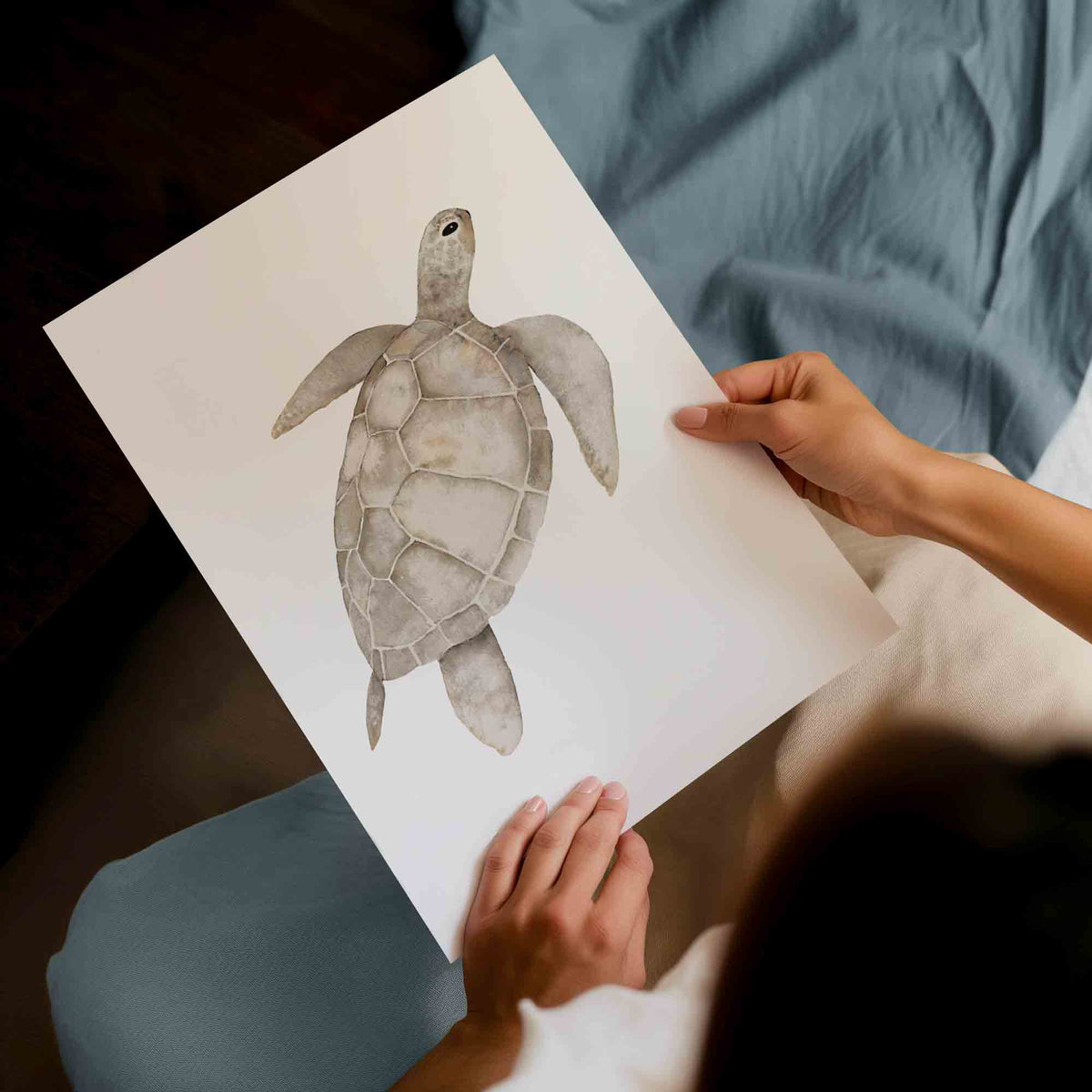 Sea Turtle, Shell &amp; Seahorse Coastal Wall Art