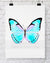 Butterfly in Aqua - "Petit Papillon" - Driftwood Interiors